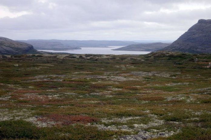 articodeshielo