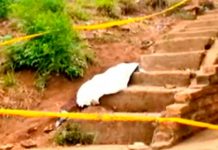 Asesinan a joven en la colonia Las Palmas de Tegucigalpa