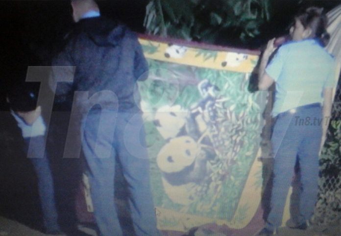 asesinato4