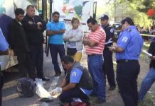 Incautan varios paquetes de marihuana en Madriz