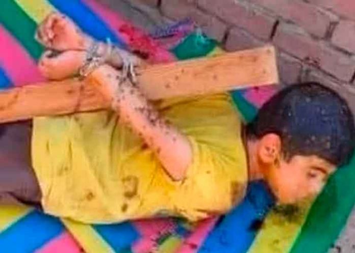 avejas1 Egipto, cruel castigo, padre, hijo, miel , abejas,