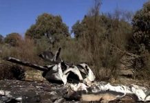 Accidente de avioneta deja dos muertos en Seúl