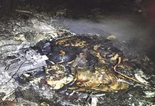 Costa Rica: Avioneta con cocaína cae a tierra y mueren 2 personas