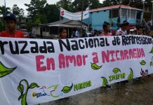 Promueven campaña de reforestación en Bluefields