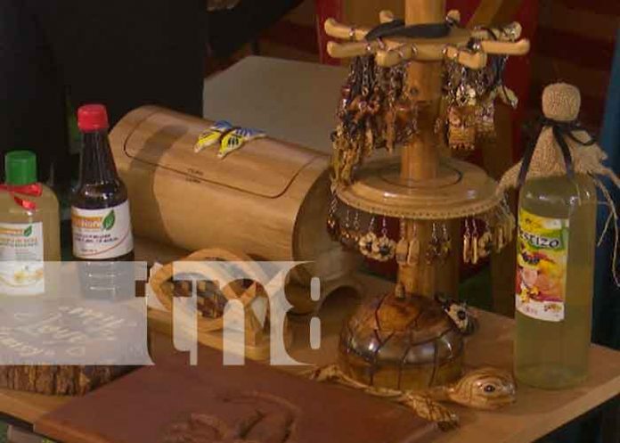 nicaragua, mefcca, bambu, feria,