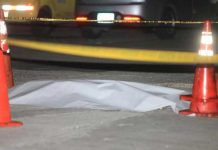 Panamá: Compinches lo matan por confusión