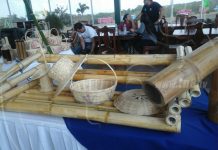 Mejorando la producción de Bambú