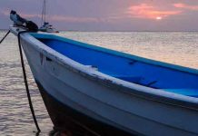 turks and caicos, barco, cadaveres,