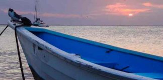 turks and caicos, barco, cadaveres,