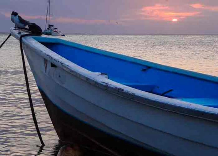 turks and caicos, barco, cadaveres,