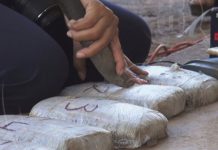 Catrachos y somoteño a juicio por tráfico y posesión de drogas