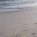 libia, ninos, migrantes, unicef,