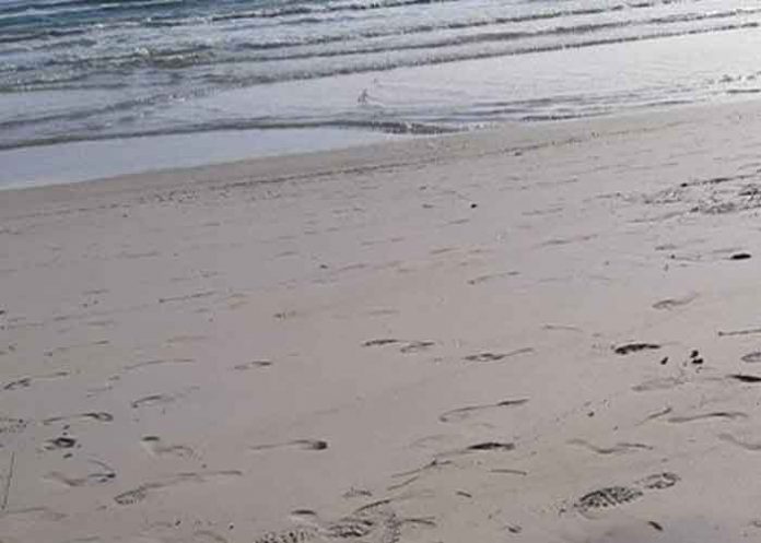 libia, ninos, migrantes, unicef,