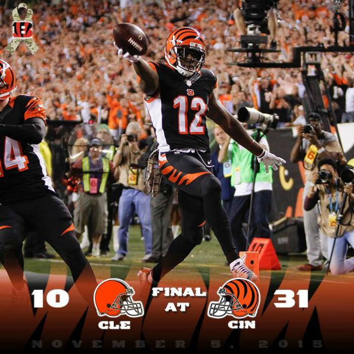 bengals12193723_10153680827763416_3363824055362022452_n