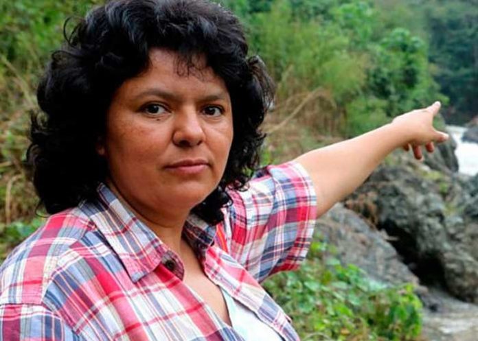 berta-bb