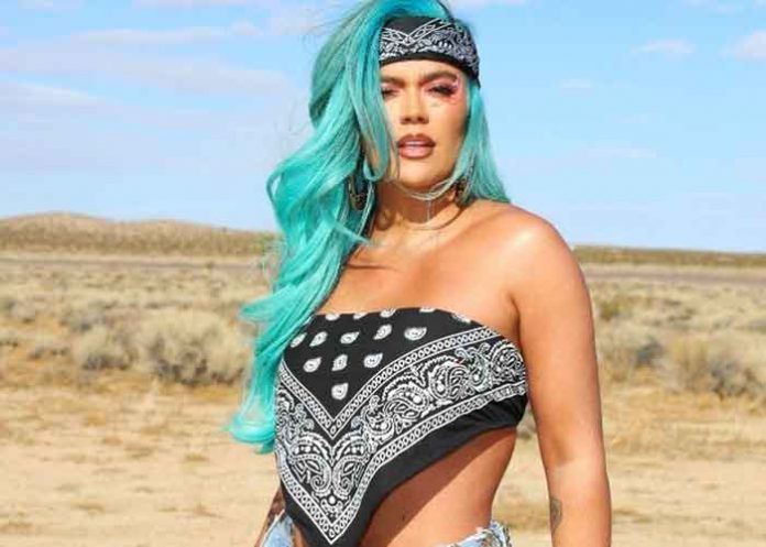 bichota musica, karol g, bichota, tour,