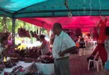 Boaco: Ferias de conmemoración a las fiestas patrias