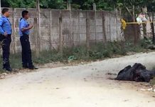 Dejan tirado cadáver en bolsas plásticas en Calpules, Honduras
