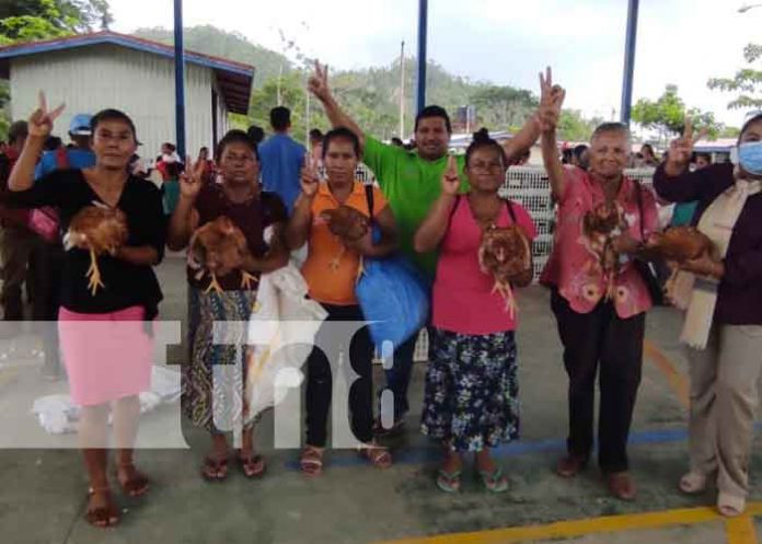 nicaragua, caribe norte, bonos de aves, triangulo minero,
