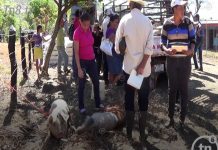 Boaco: Entrega de bono alimentario en Santa Inés