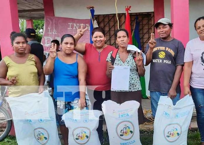 bonos-caribe-2 nicaragua, caribe, produccion, bonos,