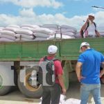 nicaragua, bonos, nandaime, produccion, cosecha,