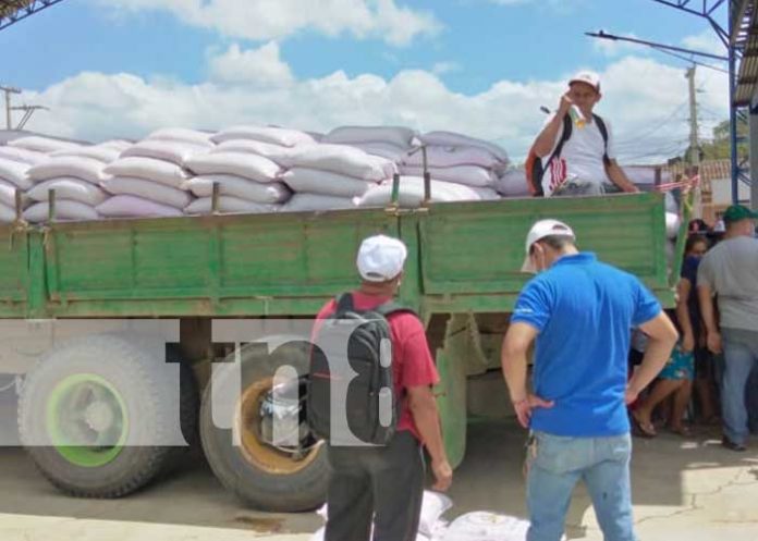 nicaragua, bonos, nandaime, produccion, cosecha,