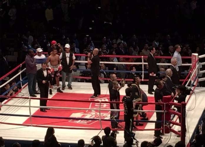 boxeo23