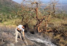 Volcán San Cristóbal afectado por fuerte incendio