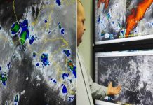 El Salvador: Lluvias dejan árboles caídos