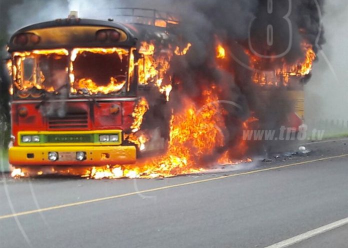 bus-1