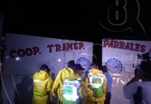 Conductor de ruta atropella a una joven un niño y se fuga
