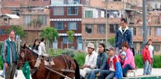 colombia, prohibicion, actividades, carretas, carruaje, caballos, animales,