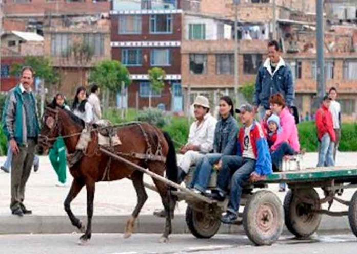 caballos colombia, prohibicion, actividades, carretas, carruaje, caballos, animales,