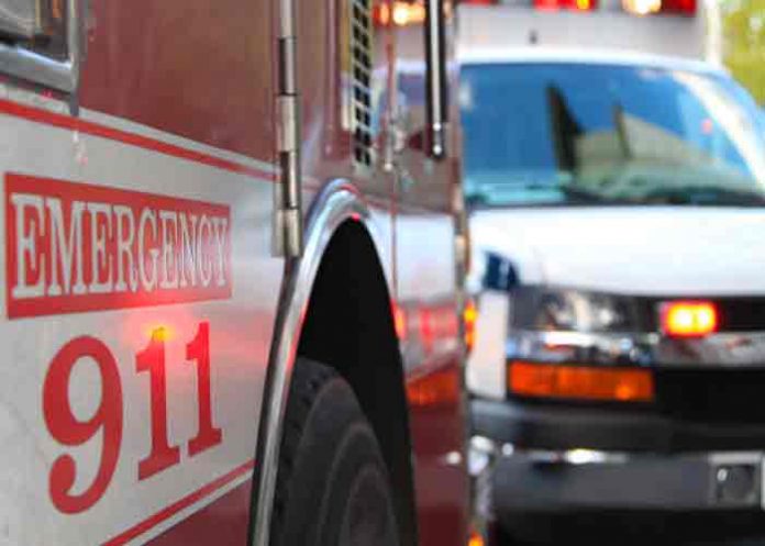 estados unidos, caiman, ataque, accidentes,