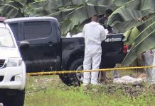 Costa Rica: Hallan cadáver calcinado en finca bananera
