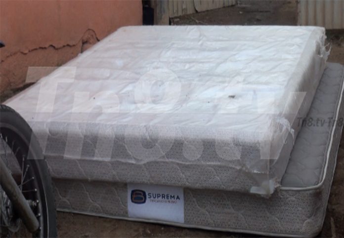 cama2