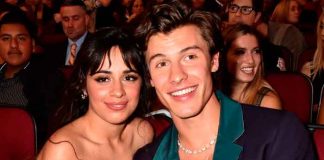 estados unidos, critocas, redes sociales, misoginia, shawn mendes, camila cabello, polemica,