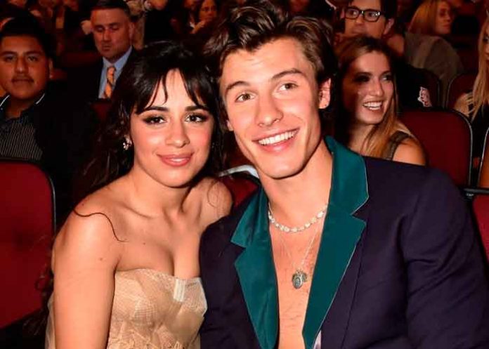 estados unidos, critocas, redes sociales, misoginia, shawn mendes, camila cabello, polemica,