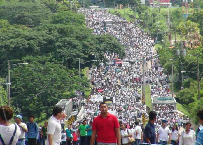caminl1