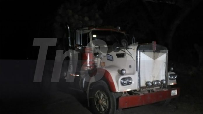 camion3