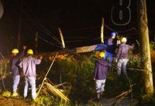 Bluefields: Conductor ebrio arranca poste de tendido eléctrico