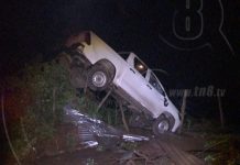 Camioneta queda encima de un árbol luego de dar varias volteretas