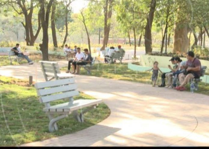 campestre2