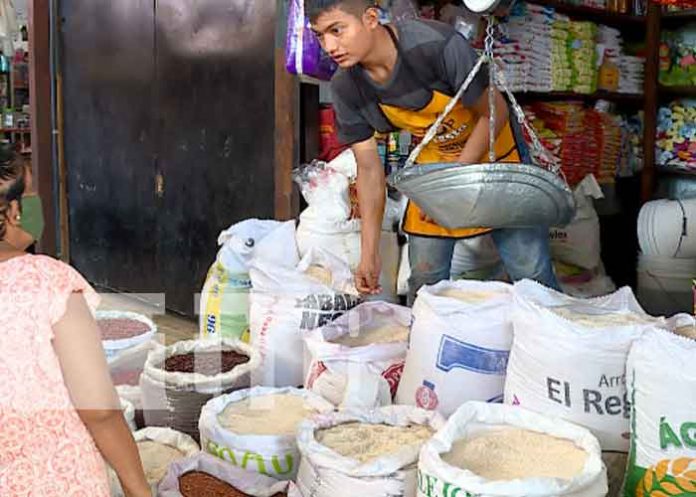 nicaragua, mific, canasta basica, precios,