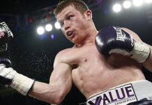 Canelo deja vacante título de las 160 libras