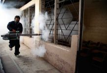 Confirman primer caso de dengue autóctono en Uruguay