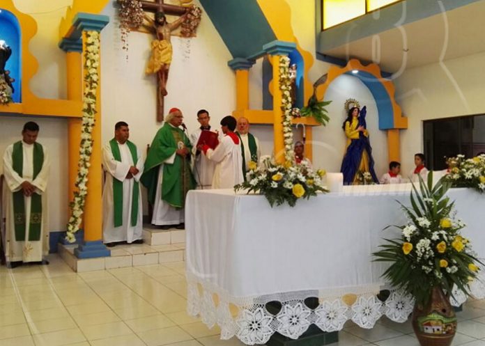 cardenal-brenes