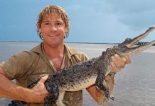 Revelan conmovedora carta del cazador de cocodrilos