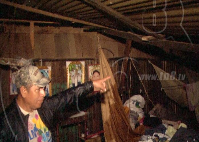 casa31